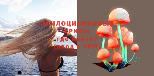 МДПВ Алзамай