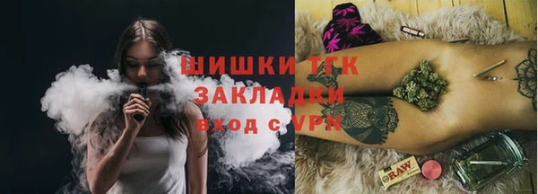 тгк Алексин