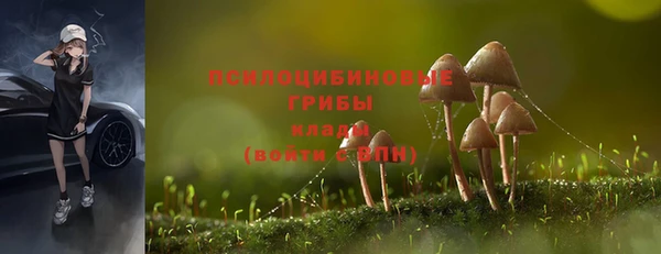 ГАЛЛЮЦИНОГЕННЫЕ ГРИБЫ Алексеевка