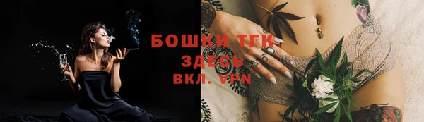 тгк Алексин