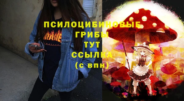 тгк Алексин