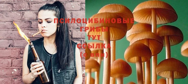 МДПВ Алзамай