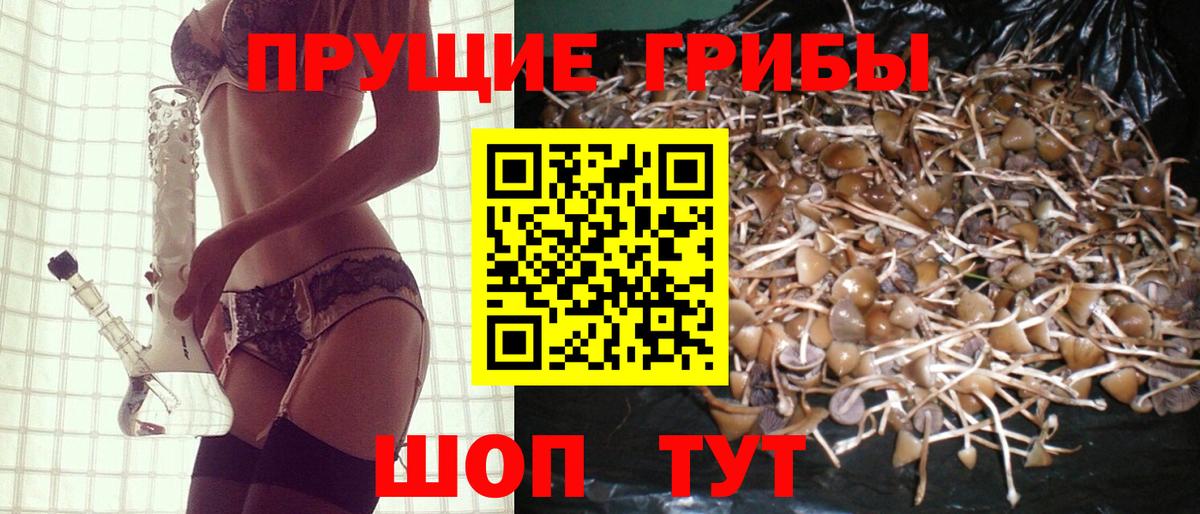 Псилоцибиновые грибы ЛСД Североуральск